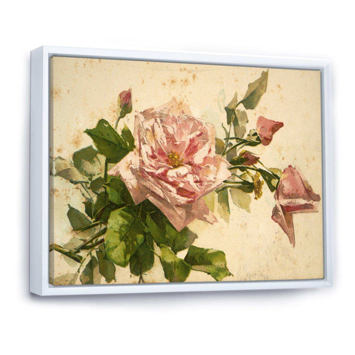 Pink Flower