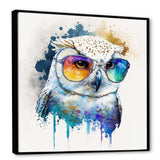 Cool White Owl With Funky Sunglasses IV