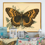 Vintage Illustration Of Butterfly I