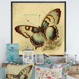 Vintage Illustration Of Butterfly V