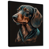 Dachshund On Black I