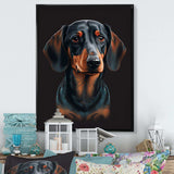 Dachshund On Black II