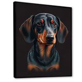 Dachshund On Black II