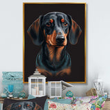 Dachshund On Black II