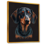 Dachshund On Black II