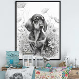 Black And White Dachshund