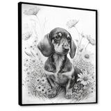 Black And White Dachshund