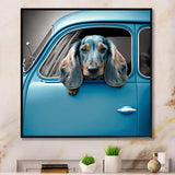 Portrait Of A Dachshund In A Blue Car I