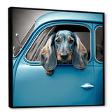 Portrait Of A Dachshund In A Blue Car I