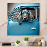 Portrait Of A Dachshund In A Blue Car I