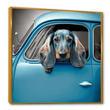 Portrait Of A Dachshund In A Blue Car I