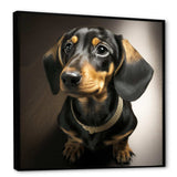 Portrait Of A Black Glam Dachshund I