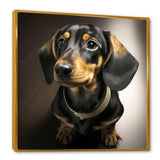 Portrait Of A Black Glam Dachshund I