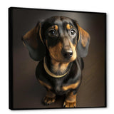 Daschund Portrait