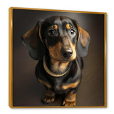 Daschund Portrait