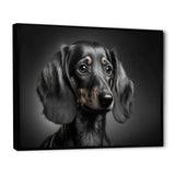 Portrait Of A Black Dachshund I