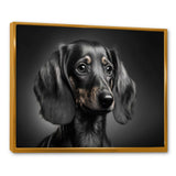 Portrait Of A Black Dachshund I