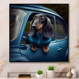 Portrait Of A Dachshund In A Blue Car III