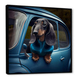 Portrait Of A Dachshund In A Blue Car III