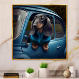 Portrait Of A Dachshund In A Blue Car III