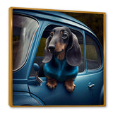 Portrait Of A Dachshund In A Blue Car III