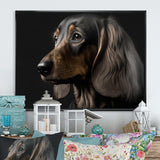 Portrait Of A Contemporary Dachshund