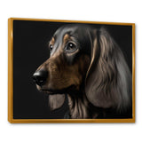 Portrait Of A Contemporary Dachshund