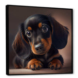 Cute Dachshund Puppy