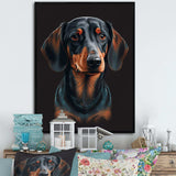 Portrait Of  Black And Brown Dachshund