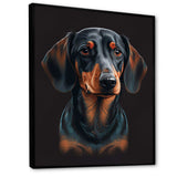 Portrait Of  Black And Brown Dachshund