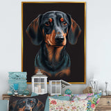 Portrait Of  Black And Brown Dachshund