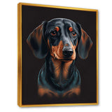 Portrait Of  Black And Brown Dachshund