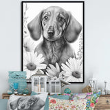 Black Dachshund With White Flowers I