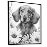 Black Dachshund With White Flowers I