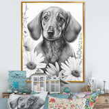 Black Dachshund With White Flowers I