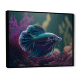 Magnificent Bettafish In Shades Of Blue And Purple I