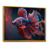 Magnificent Bettafish In Shades Of Blue And Purple II