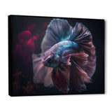 Magnificent Bettafish In Shades Of Blue And Purple III