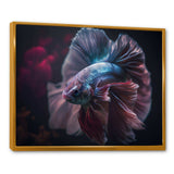 Magnificent Bettafish In Shades Of Blue And Purple III