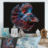 Magnificent Bettafish In Shades Of Blue And Purple IV