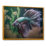 Magnificent Bettafish In Shades Of Blue And Purple V