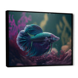 Magnificent Bettafish In Shades Of Blue And Purple VI