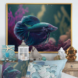 Magnificent Bettafish In Shades Of Blue And Purple VI