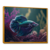 Magnificent Bettafish In Shades Of Blue And Purple VI