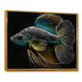 Tropical Blue Fish In Shades Of Blue And Orange VI