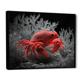 Red Deepsea Crab In Red And Black I