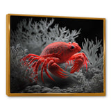 Red Deepsea Crab In Red And Black I