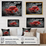 Red Deepsea Crab In Red And Black I