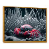 Red Deepsea Crab In Red And Black III