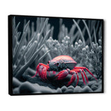 Red Deepsea Crab In Red And Black IV